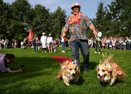 Russia Corgi Parade