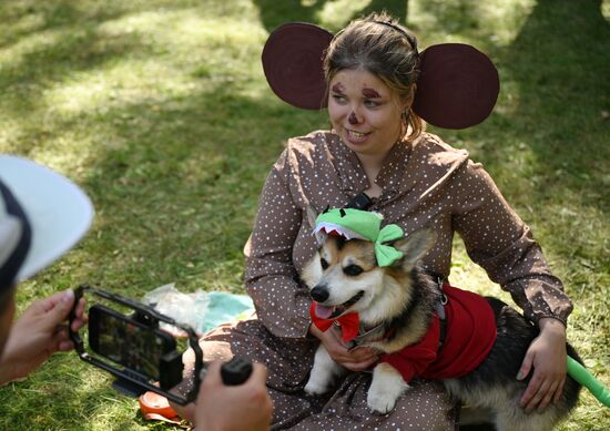 Russia Corgi Parade