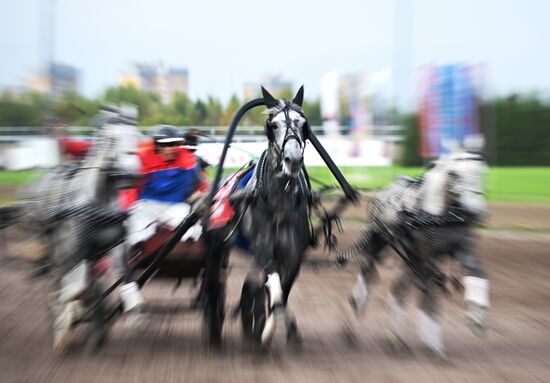 Russia Presidential Prize Horse Races