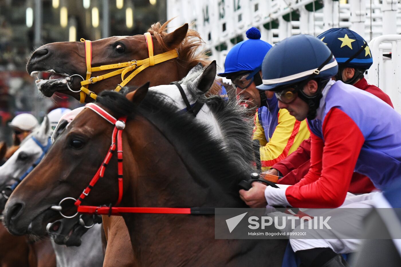 Russia Presidential Prize Horse Races