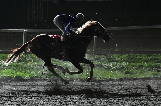 Russia Presidential Prize Horse Races