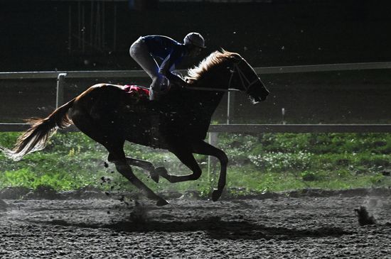 Russia Presidential Prize Horse Races