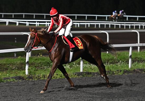 Russia Presidential Prize Horse Races