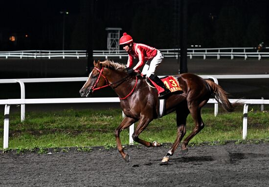 Russia Presidential Prize Horse Races