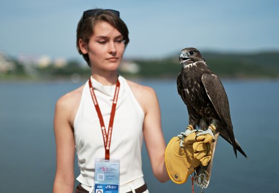 EEF-2025. Opening of the Falcon House pavilion