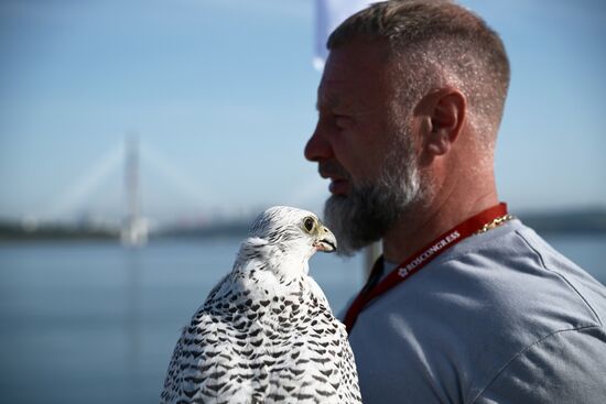 EEF-2025. Opening of the Falcon House pavilion