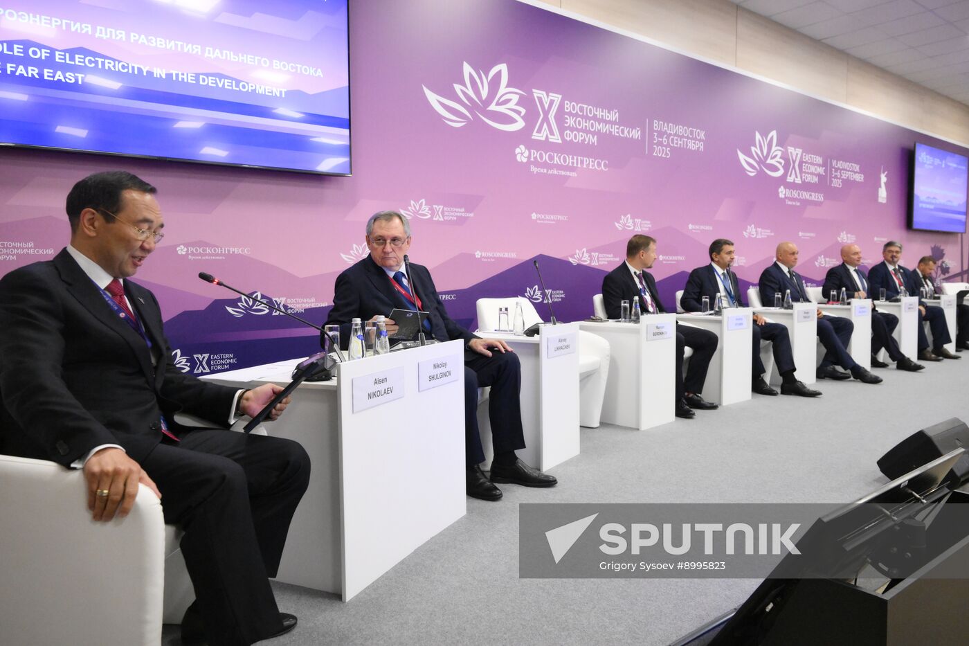 EEF-2025. The Role of Electricity in the Development of the Far East