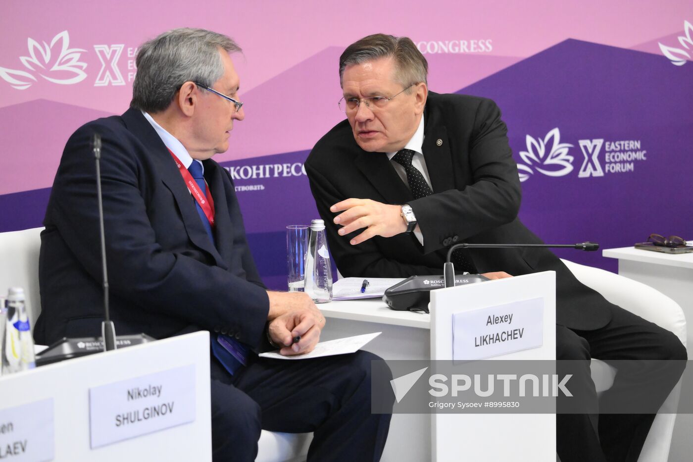 EEF-2025. The Role of Electricity in the Development of the Far East