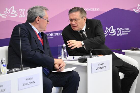 EEF-2025. The Role of Electricity in the Development of the Far East