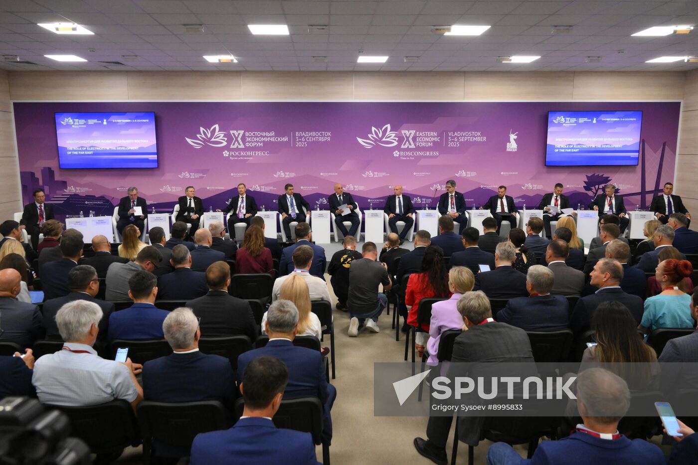 EEF-2025. The Role of Electricity in the Development of the Far East