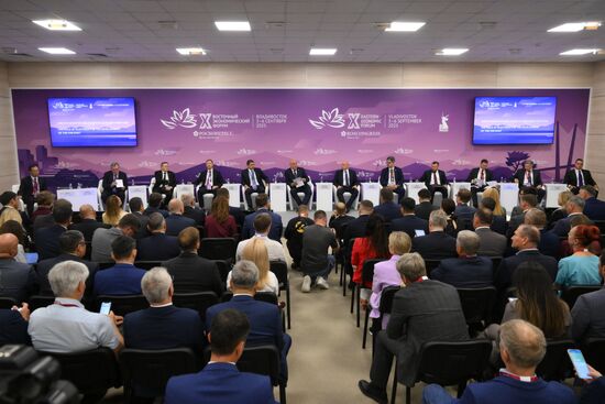 EEF-2025. The Role of Electricity in the Development of the Far East