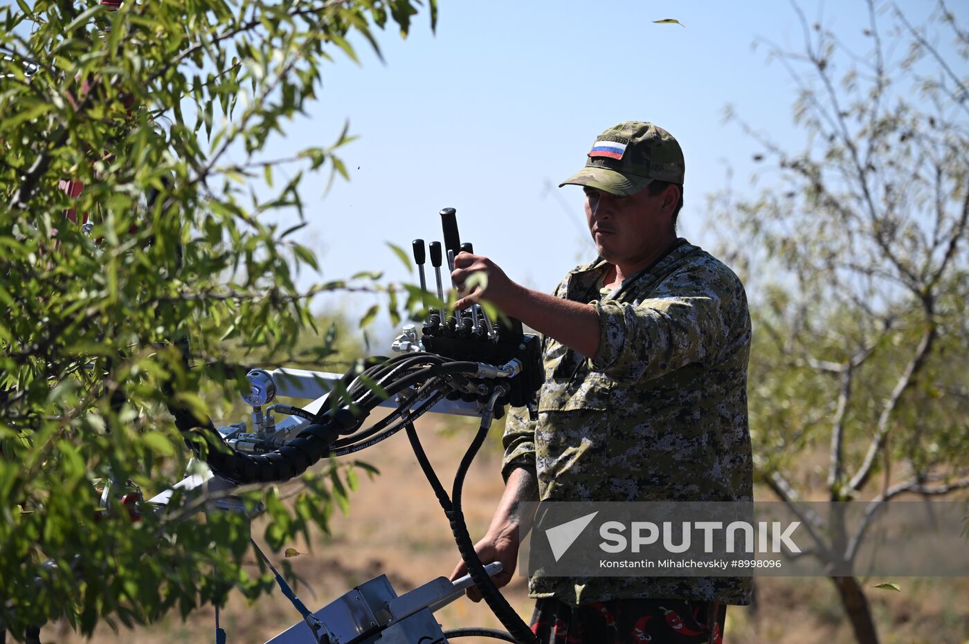 Russia Agriculture Almond Harvesting