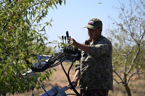 Russia Agriculture Almond Harvesting