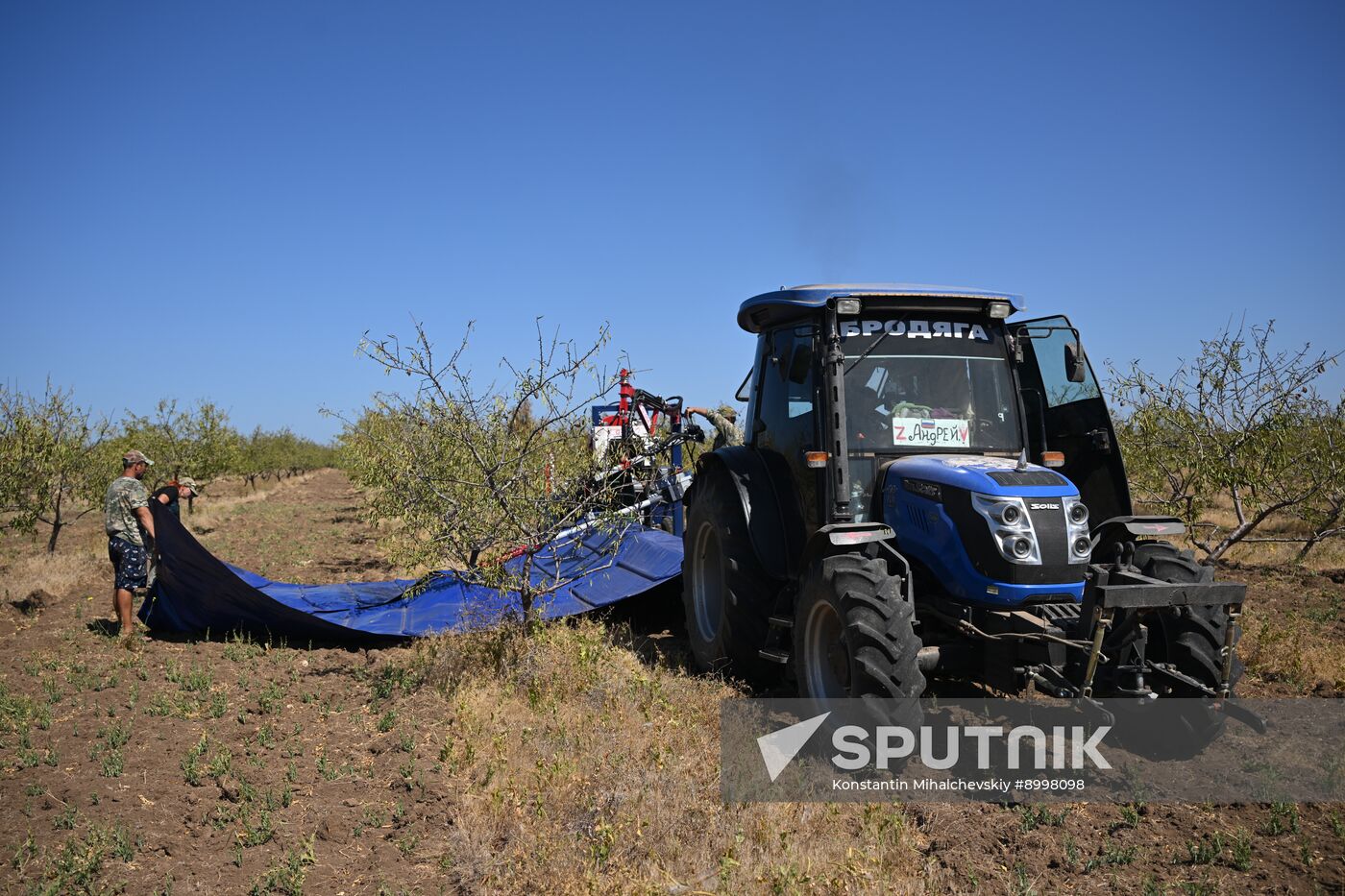 Russia Agriculture Almond Harvesting