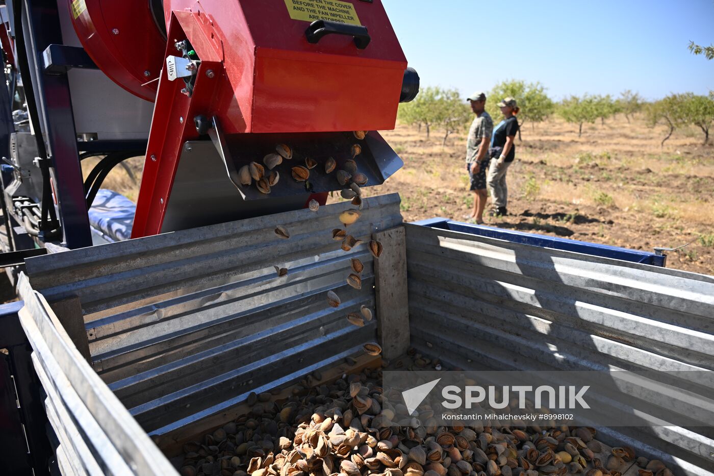 Russia Agriculture Almond Harvesting