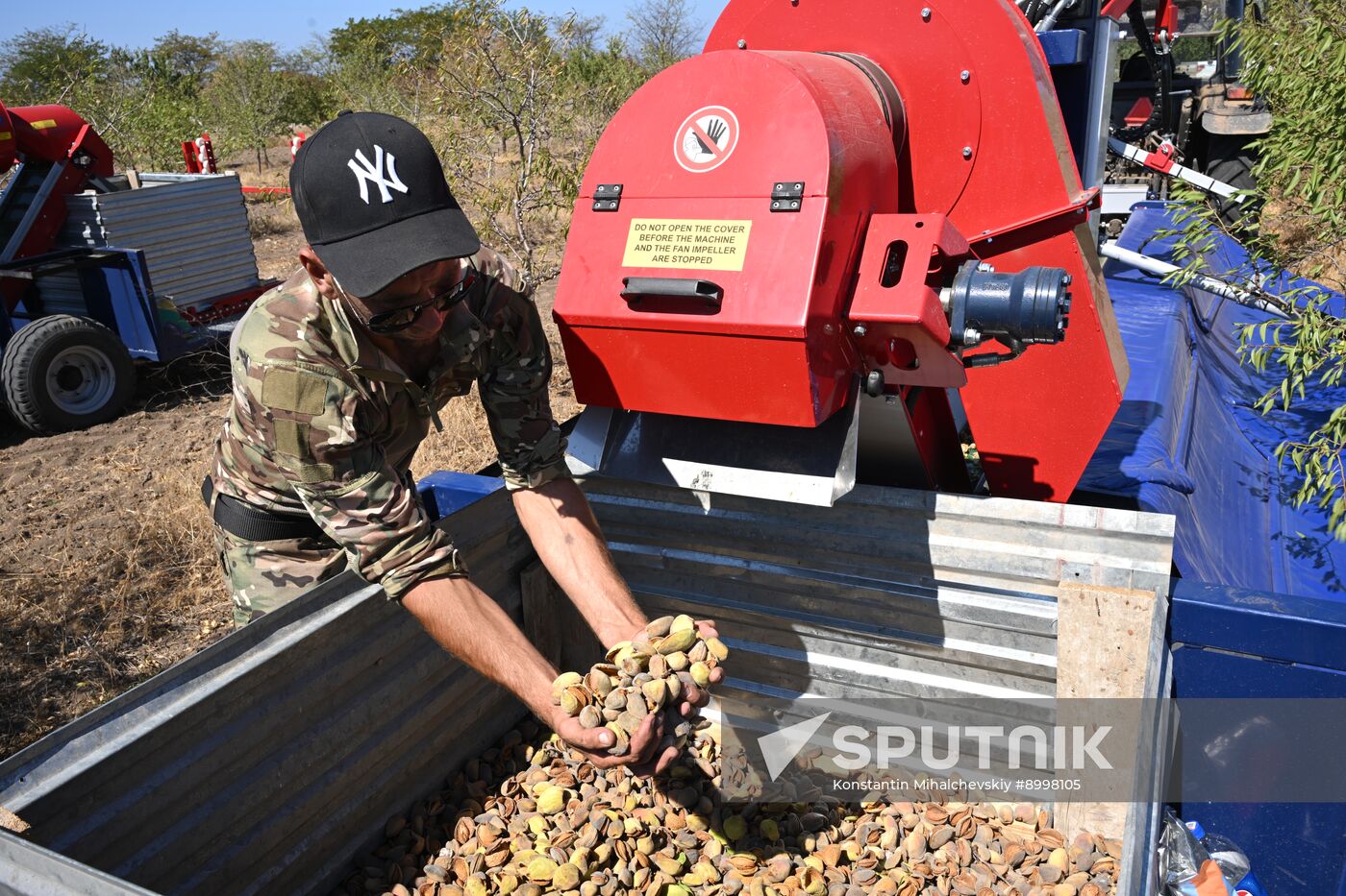Russia Agriculture Almond Harvesting