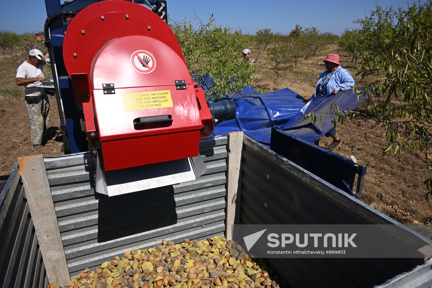 Russia Agriculture Almond Harvesting