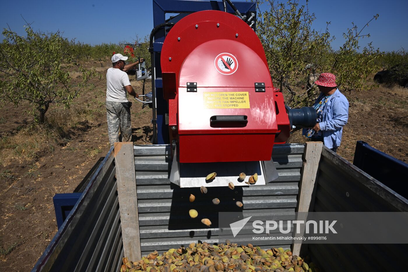Russia Agriculture Almond Harvesting