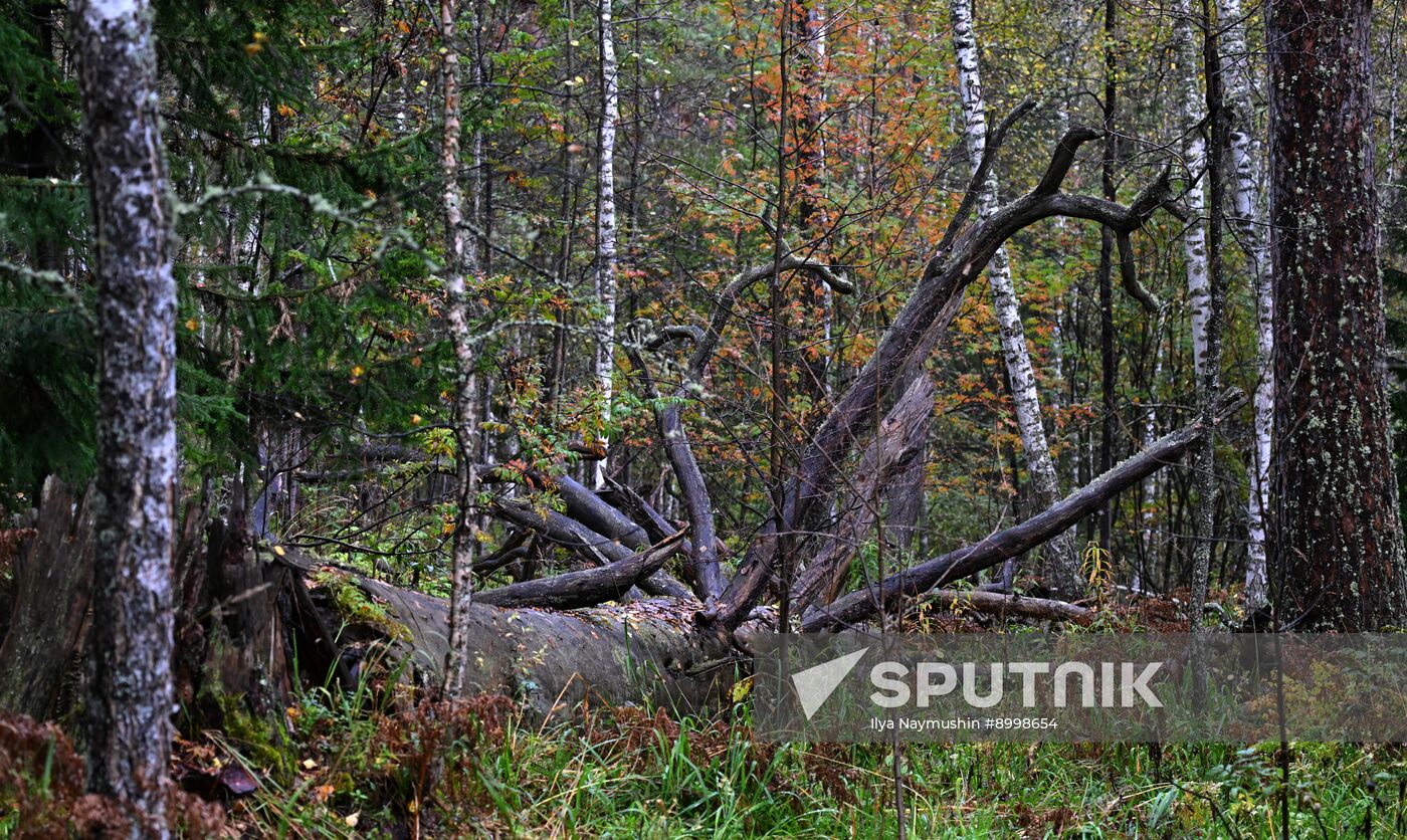 Russia Environment