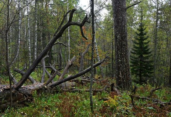 Russia Environment