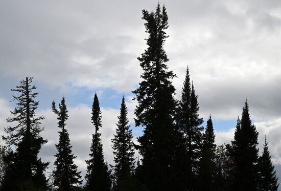 Russia Environment