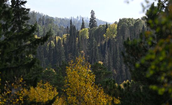 Russia Environment