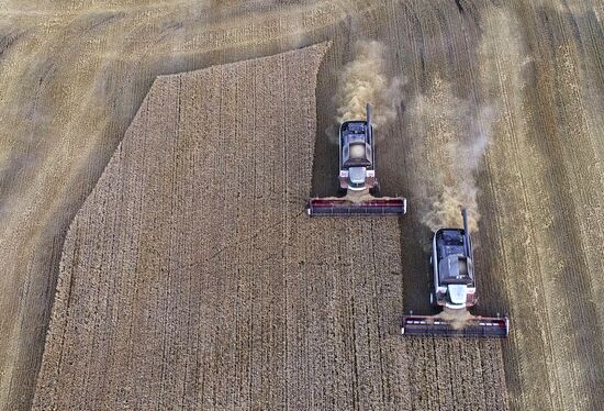 Russia Agriculture Barley Harvesting