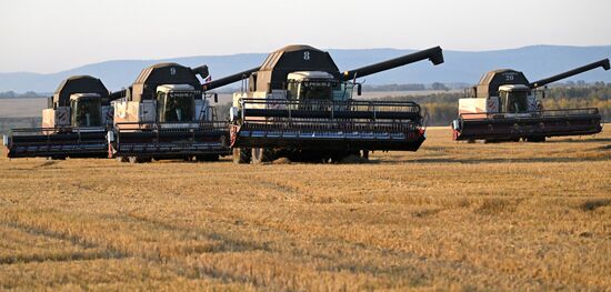 Russia Agriculture Barley Harvesting