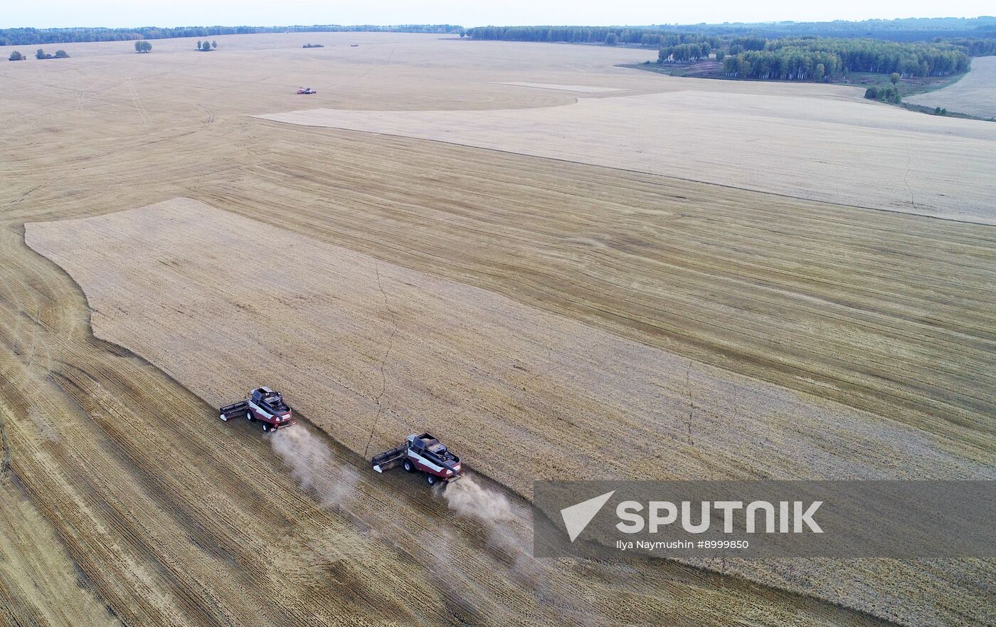 Russia Agriculture Barley Harvesting