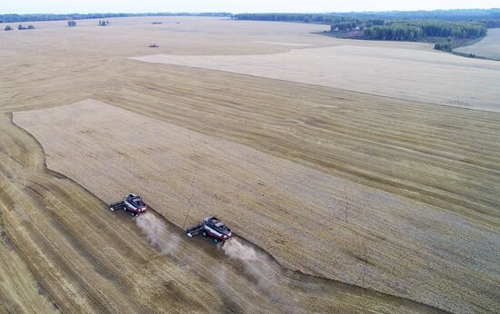 Russia Agriculture Barley Harvesting