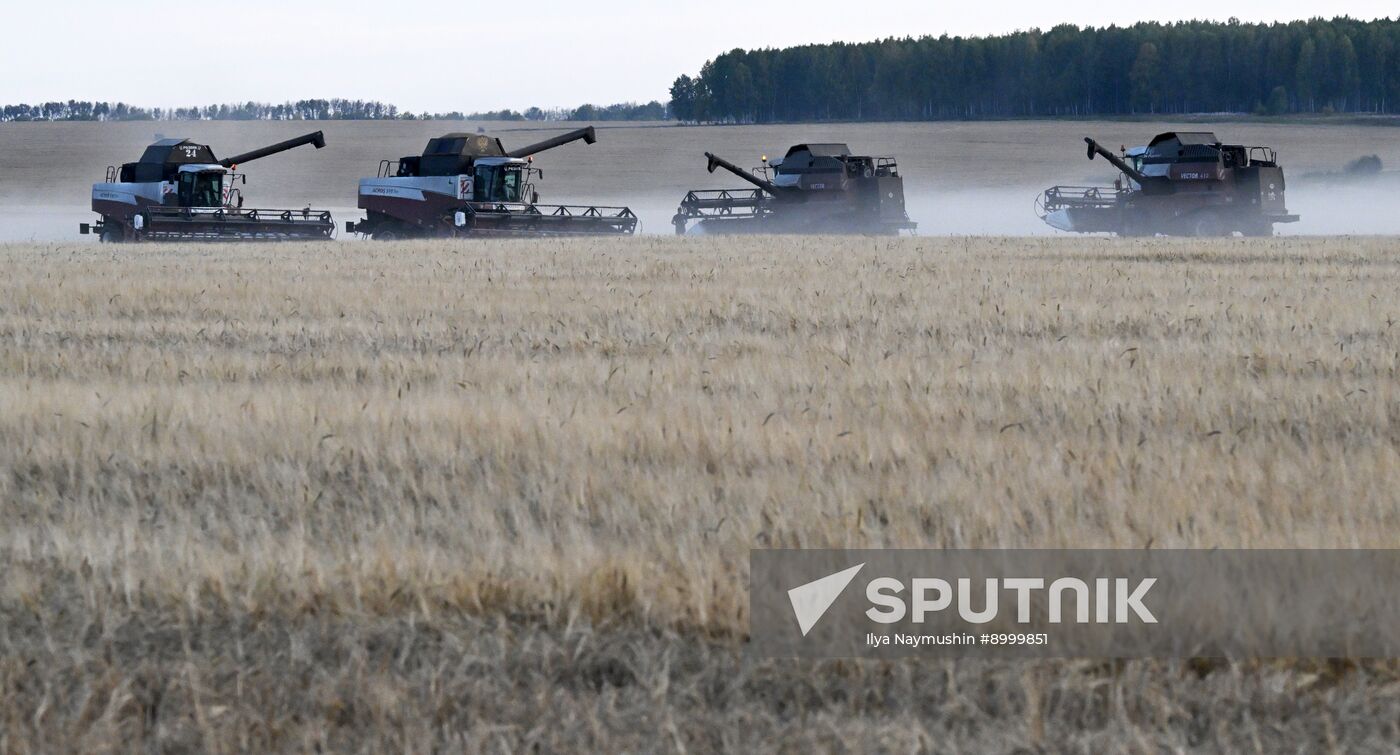 Russia Agriculture Barley Harvesting