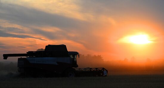 Russia Agriculture Barley Harvesting