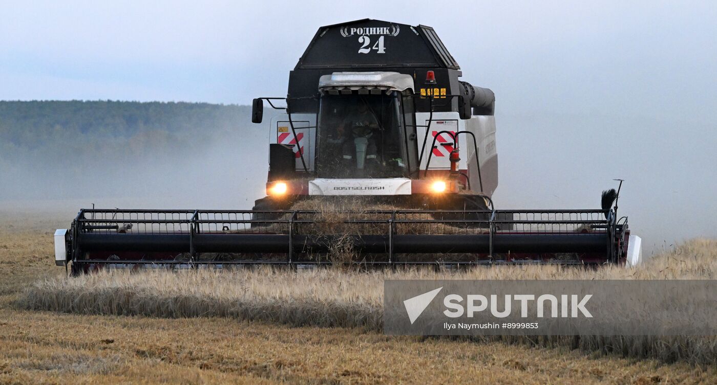 Russia Agriculture Barley Harvesting