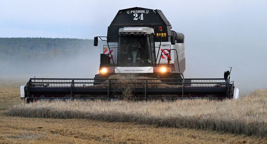 Russia Agriculture Barley Harvesting