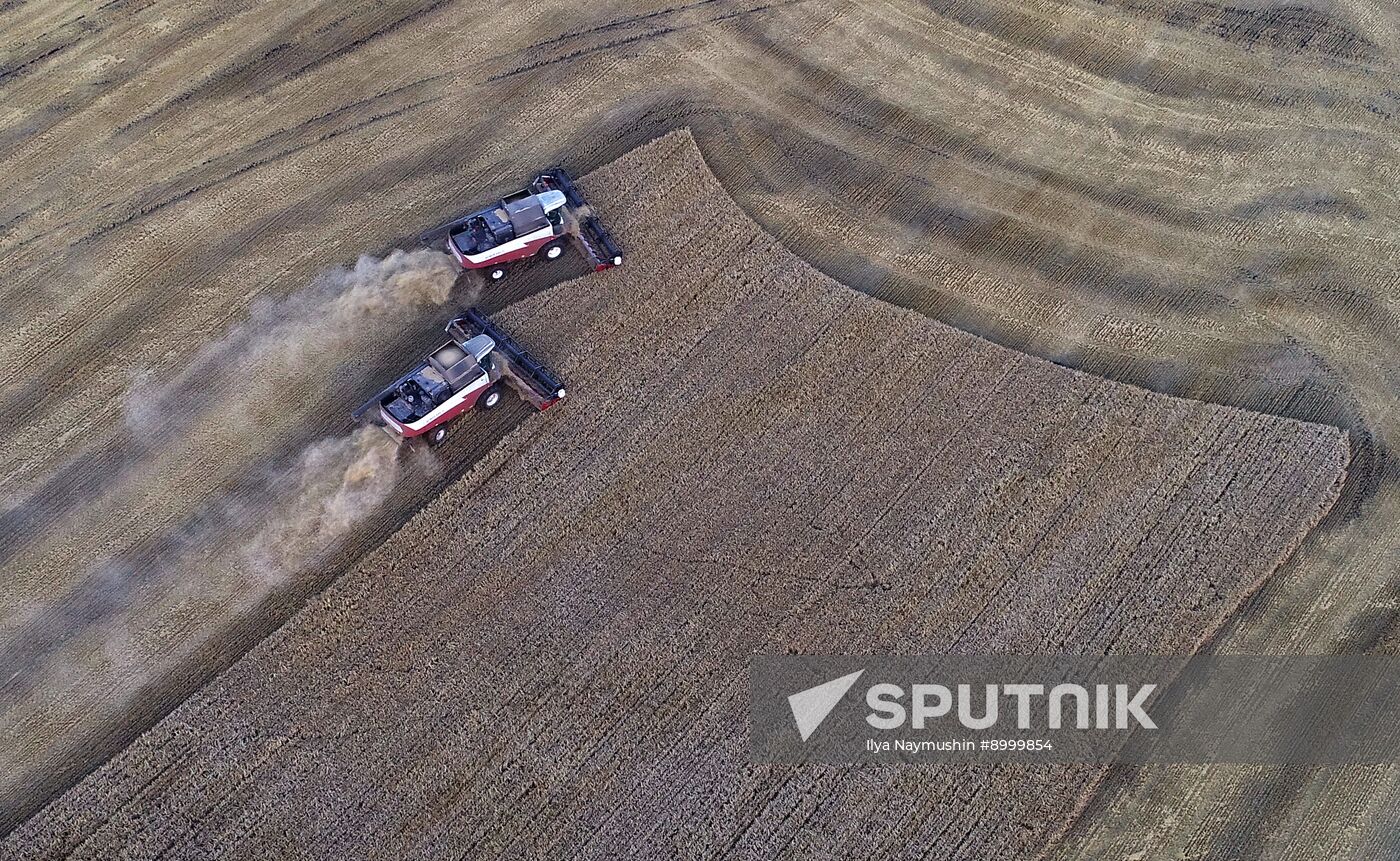 Russia Agriculture Barley Harvesting