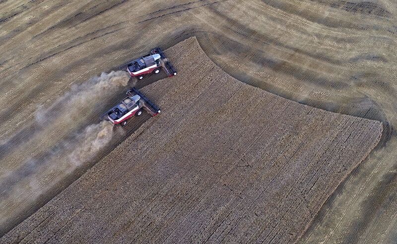 Russia Agriculture Barley Harvesting