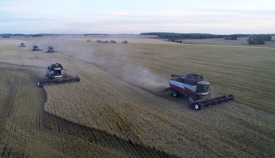 Russia Agriculture Barley Harvesting