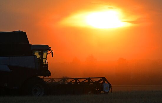Russia Agriculture Barley Harvesting