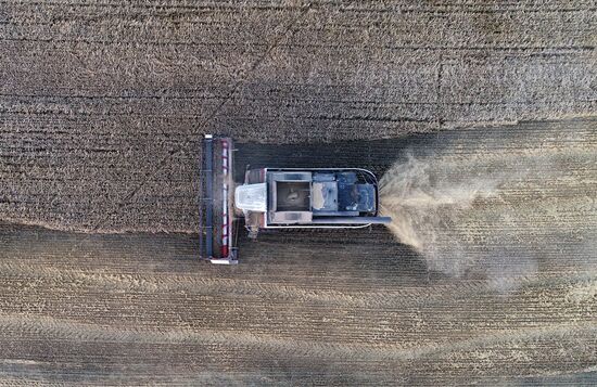 Russia Agriculture Barley Harvesting