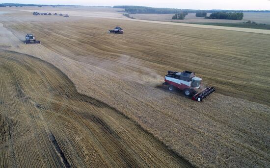 Russia Agriculture Barley Harvesting