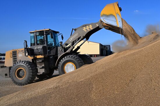 Russia Agriculture Barley Harvesting