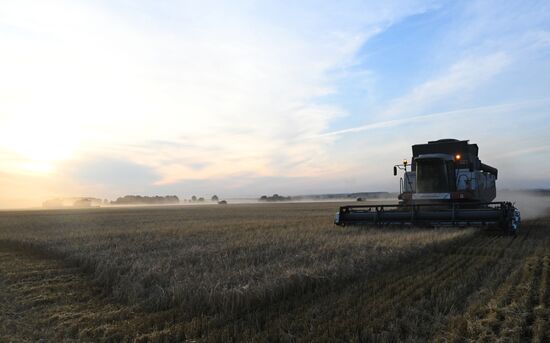 Russia Agriculture Barley Harvesting