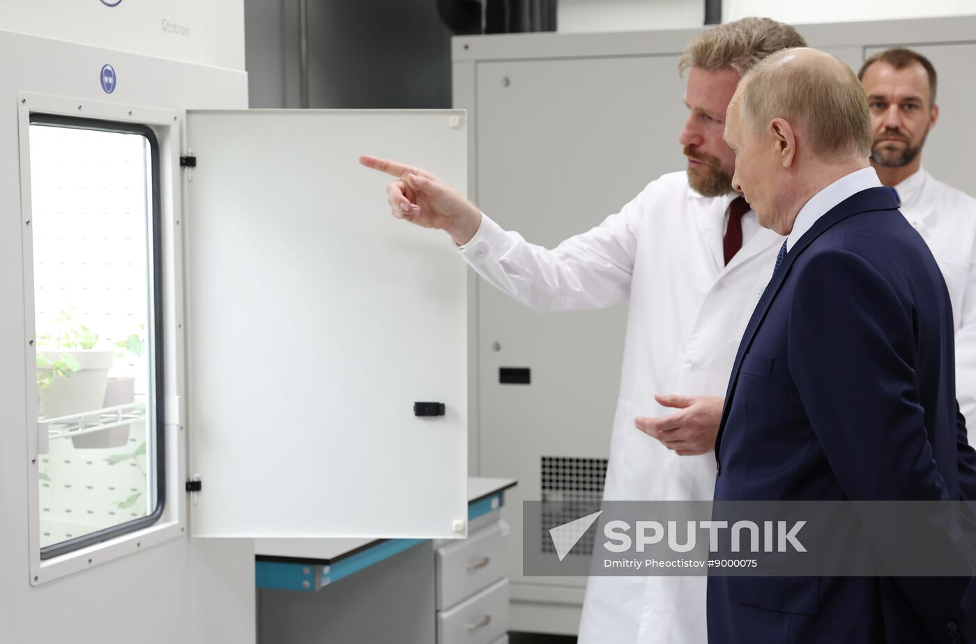 Russia Putin Southern Federal District