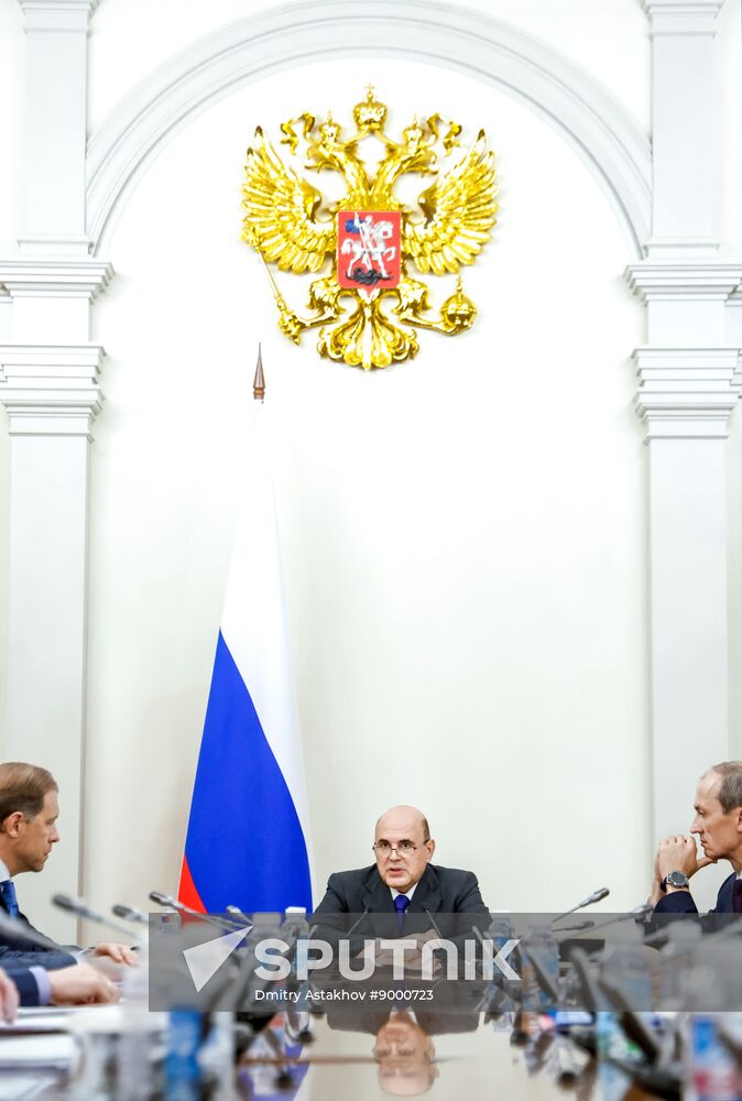 Russia Mishustin Economy