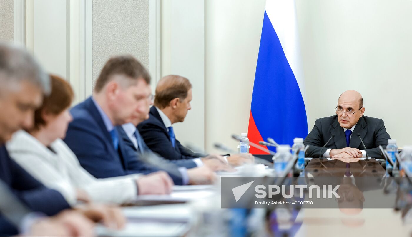 Russia Mishustin Economy