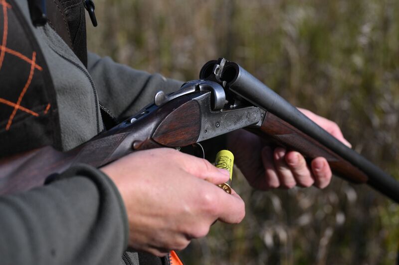 Russia Hunting Supervision