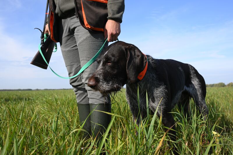 Russia Hunting Supervision