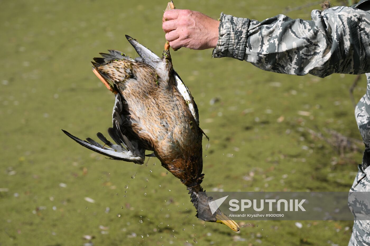 Russia Hunting Supervision