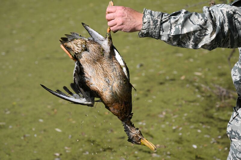 Russia Hunting Supervision