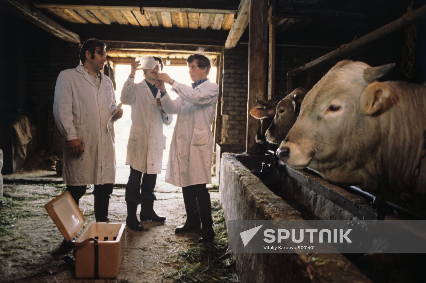 Students of Kostroma Agricultural Institute during fieldwork